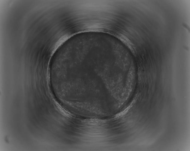 X0000097651077200803280924