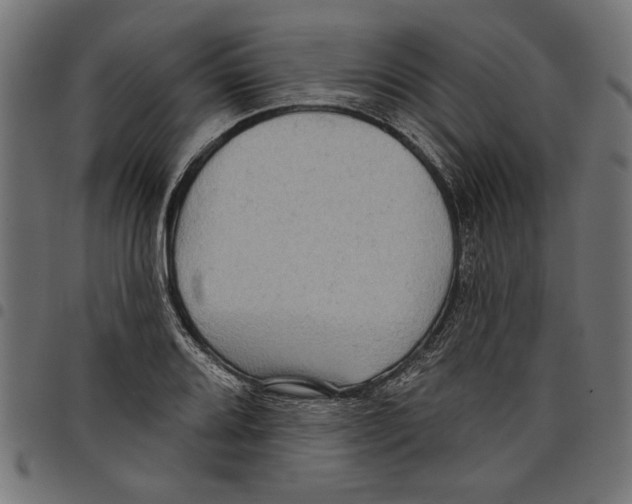 X0000097651080200803280924