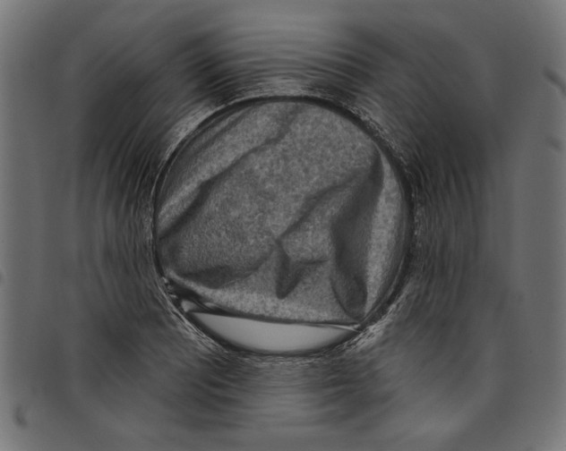 X0000097651081200803280923