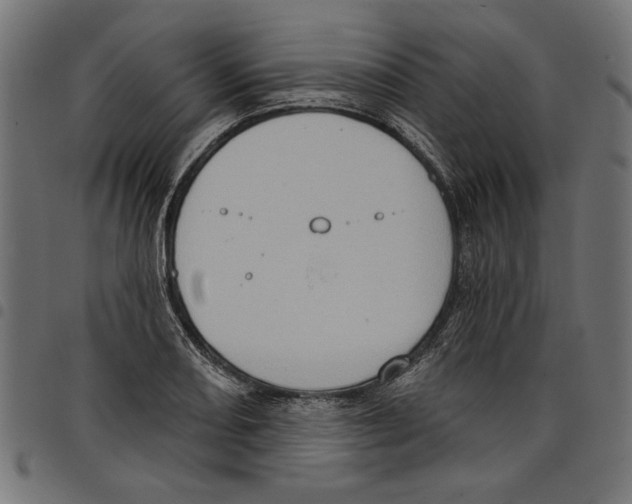 X0000097651082200803280923