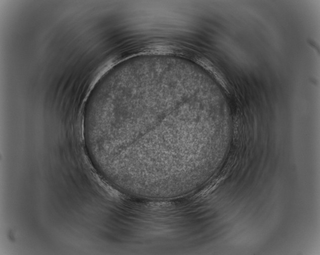 X0000097651083200803280923