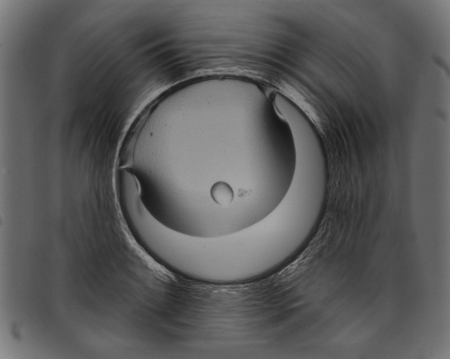 X0000097651084200803280923