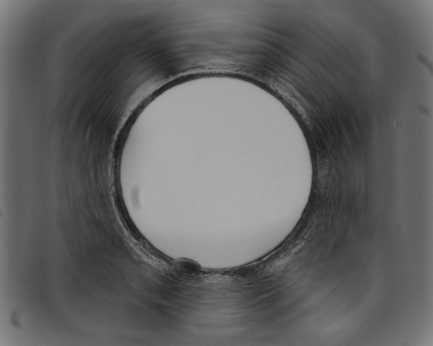 X0000097651085200803280923