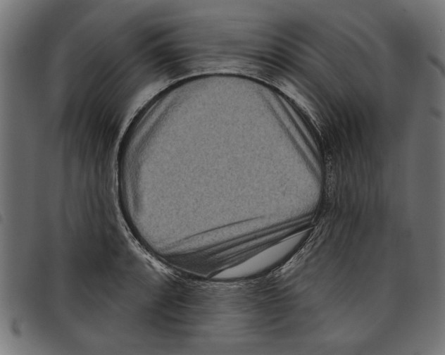 X0000097651088200803280923