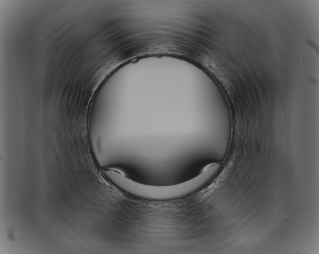 X0000097651089200803280923