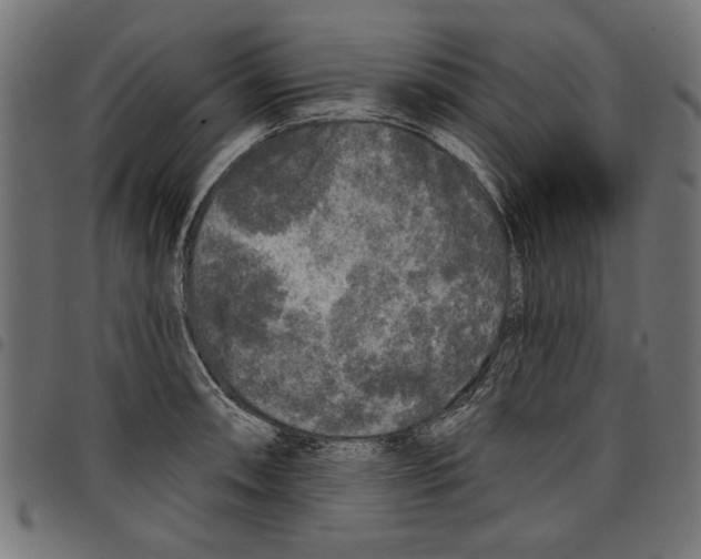 X0000097651090200803280923