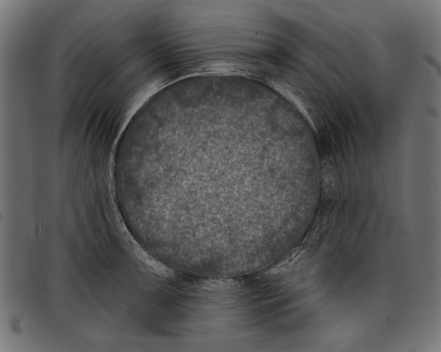 X0000097651091200803280923