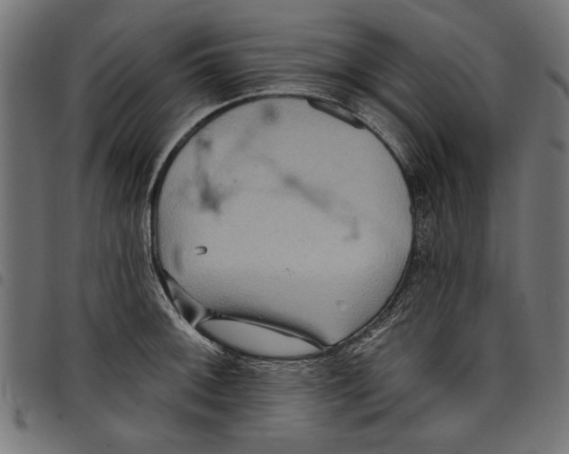 X0000097651092200803280923