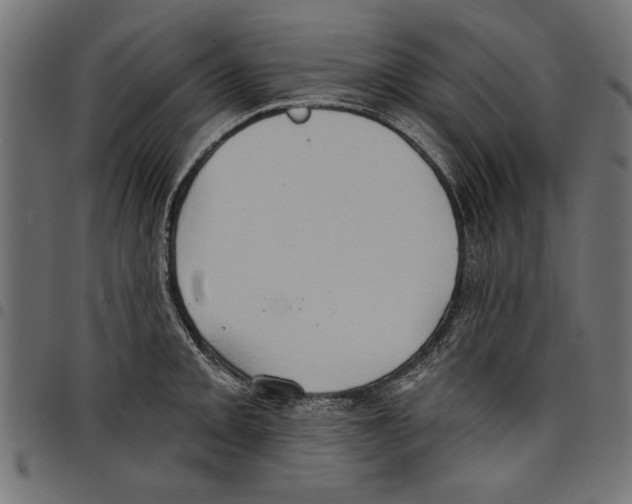 X0000097651093200803280923