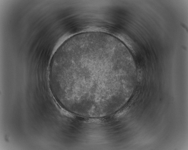 X0000097651094200803280923