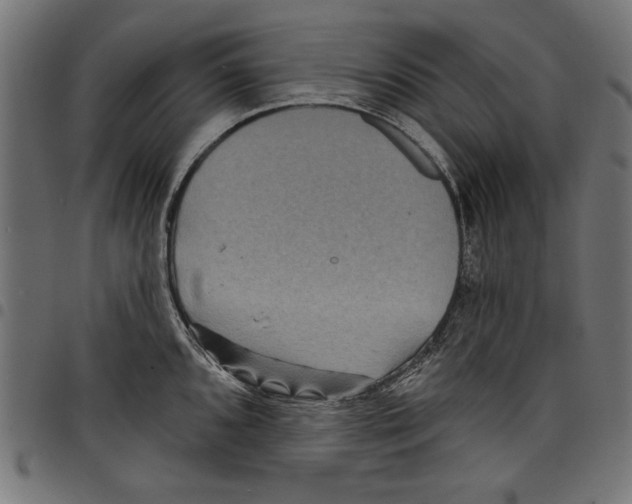 X0000097651096200803280923