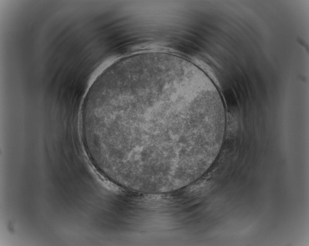 X0000097651098200803280923