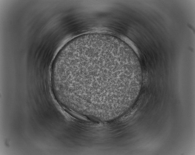 X0000097651099200803280923