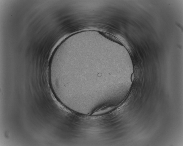 X0000097651100200803280923