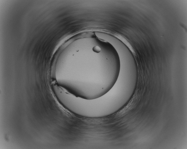 X0000097651101200803280923