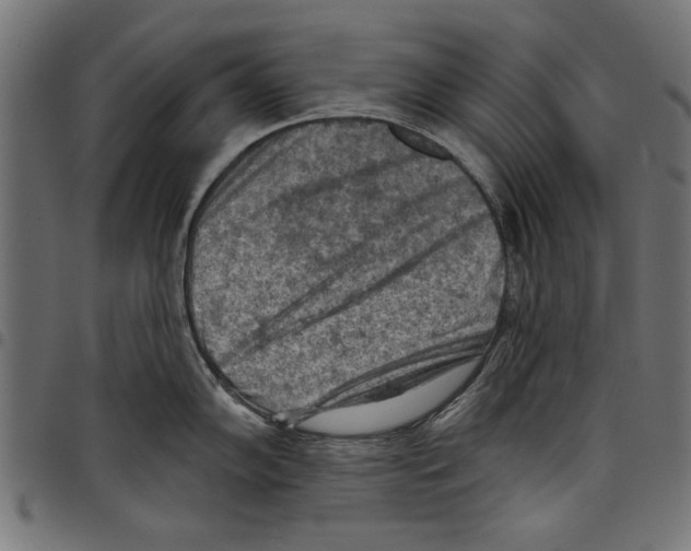 X0000097651102200803280923