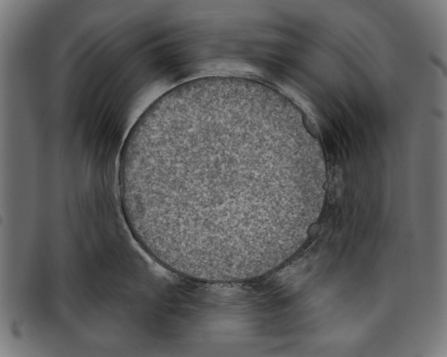 X0000097651103200803280923