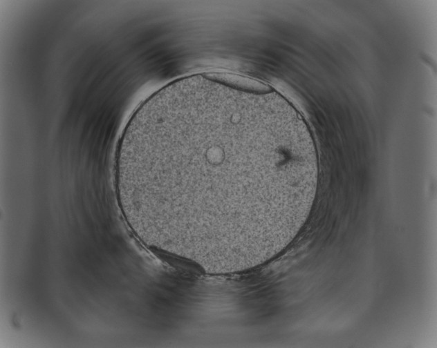 X0000097651104200803280923