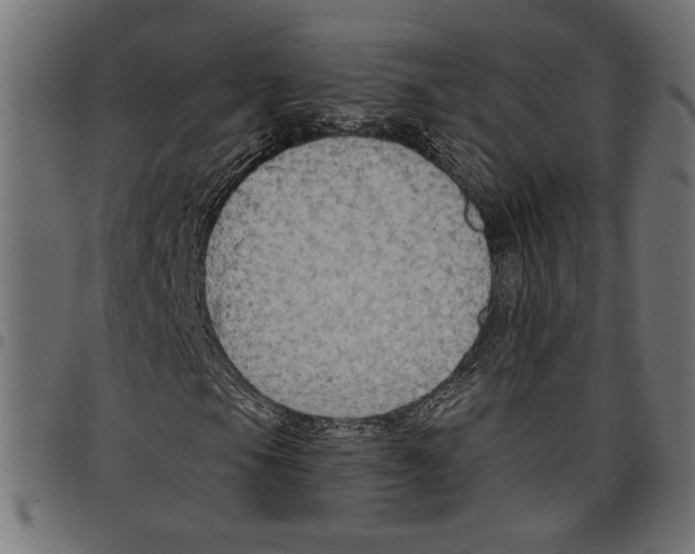 X0000097651105200803280922