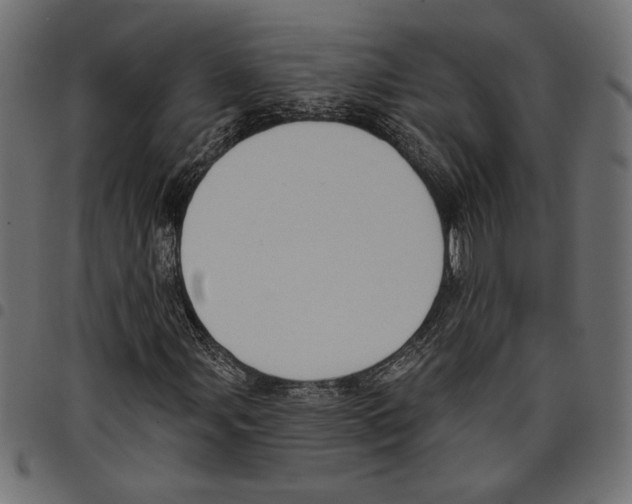 X0000097651107200803280922