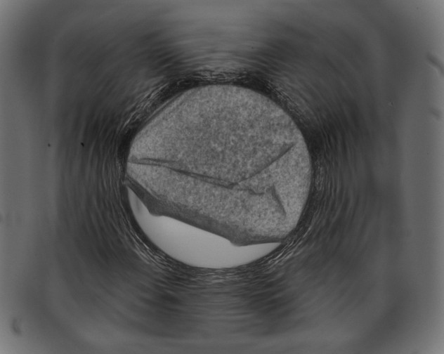 X0000097651108200803280922