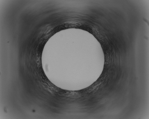 X0000097651109200803280922