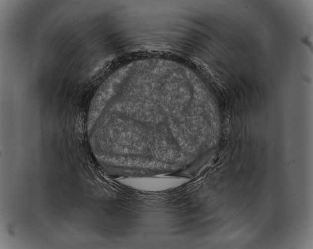 X0000097651110200803280922