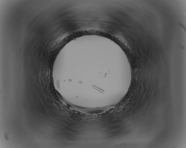 X0000097651111200803280922