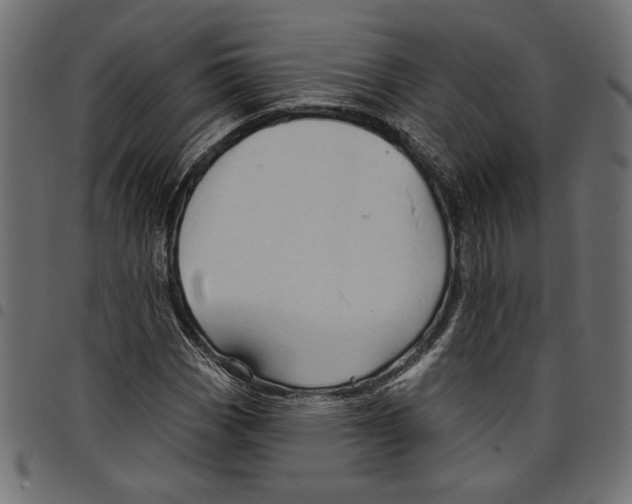 X0000097651113200803280923