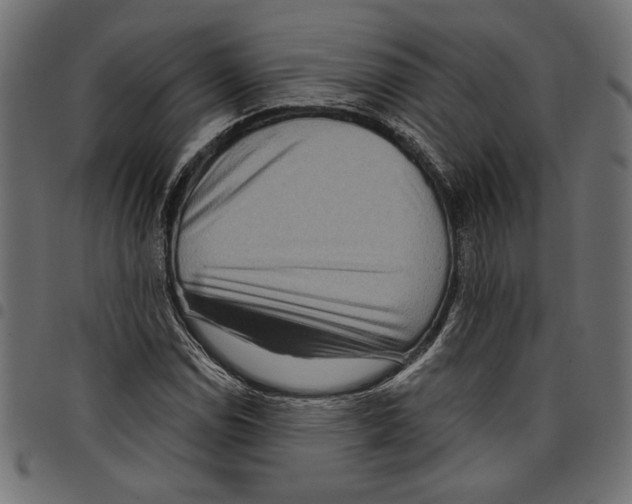 X0000097651114200803280923