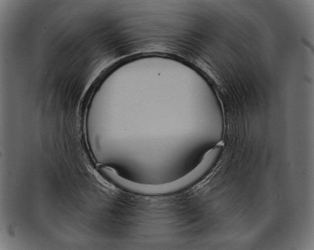 X0000097651116200803280923