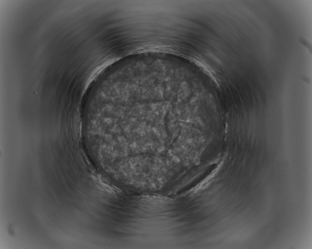 X0000097651117200803280923