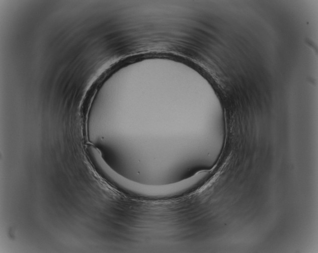 X0000097651118200803280923