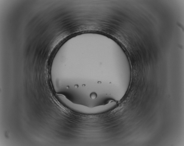 X0000097651119200803280923