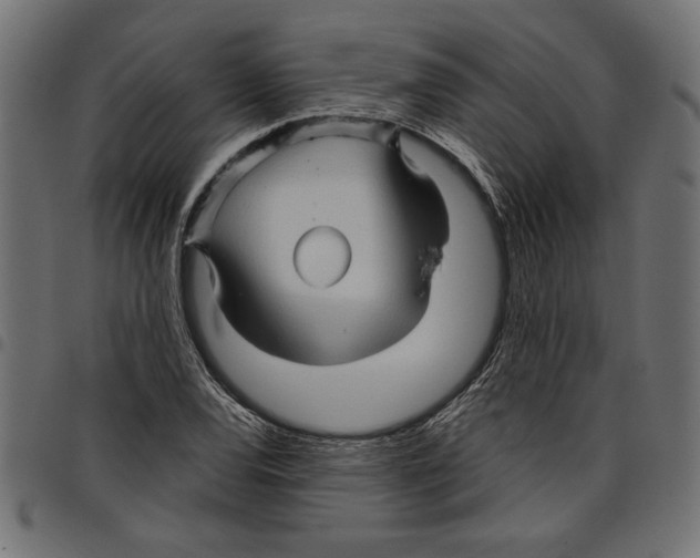 X0000097651120200803280923