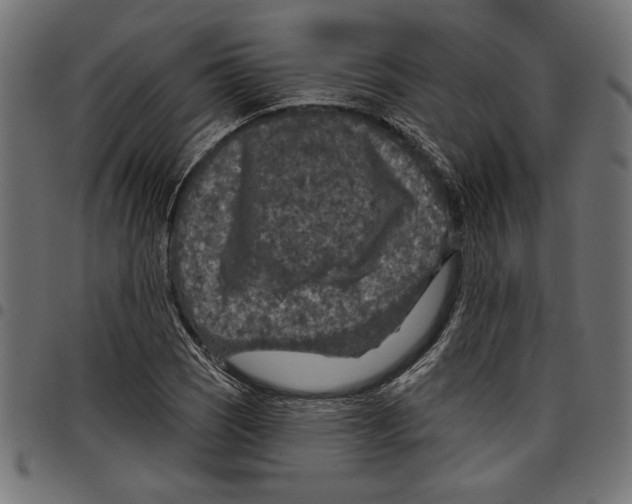 X0000097651121200803280923