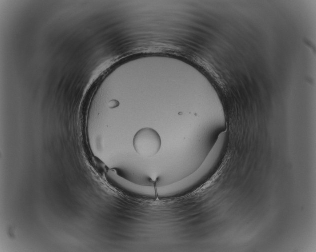 X0000097651122200803280923