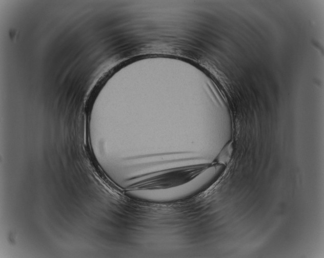 X0000097651123200803280923