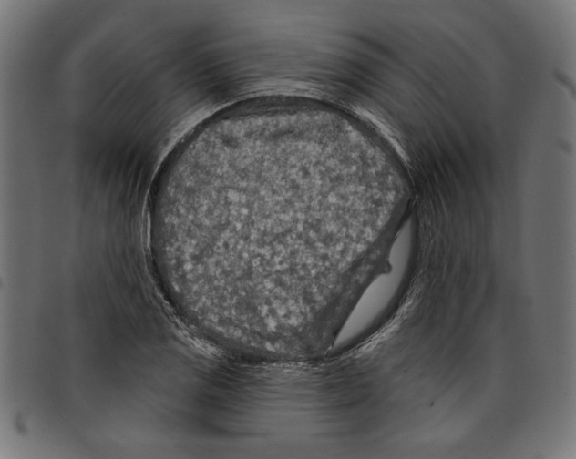 X0000097651125200803280923