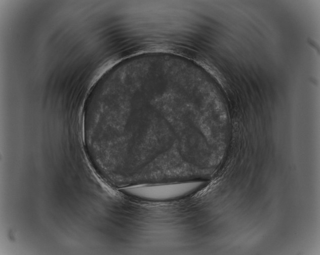 X0000097651127200803280923