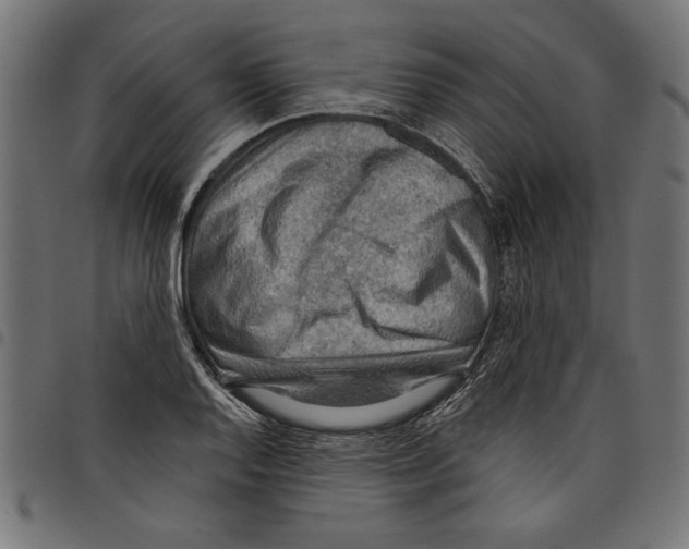 X0000097651128200803280923