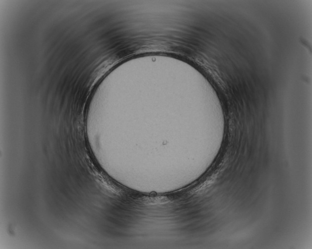 X0000097651129200803280923