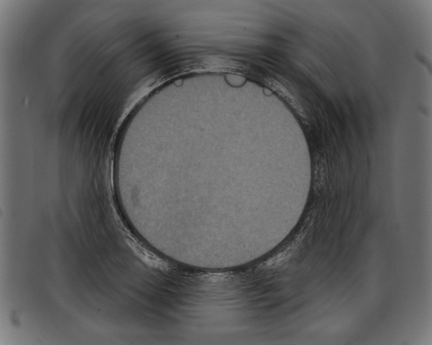 X0000097651130200803280923