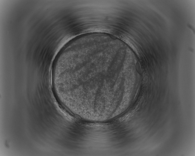 X0000097651132200803280923