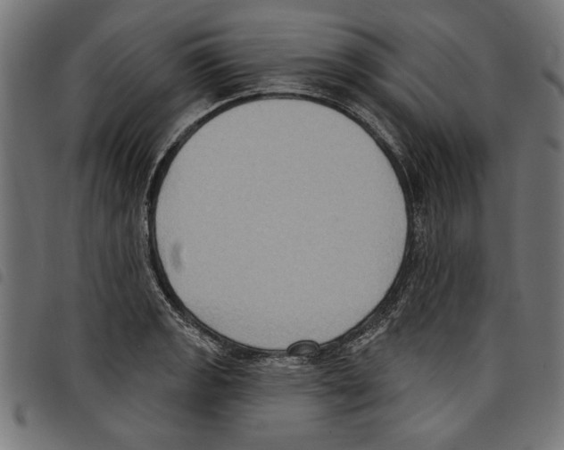 X0000097651133200803280923