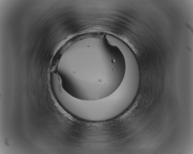 X0000097651134200803280923