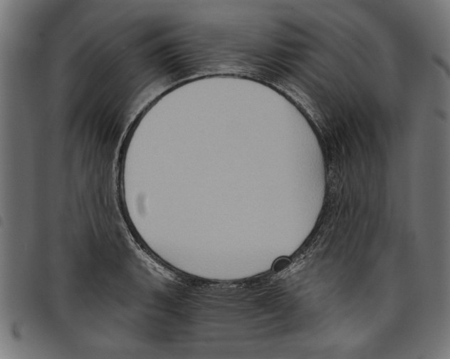 X0000097651135200803280923