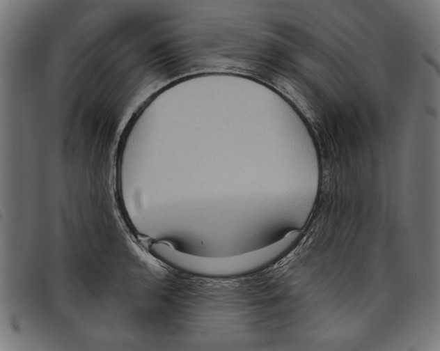 X0000097651136200803280923