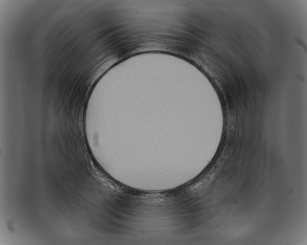 X0000097651137200803280923