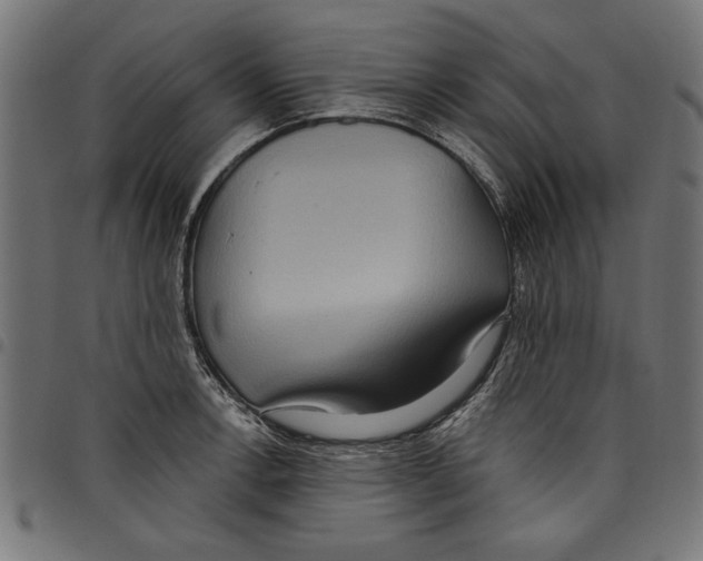 X0000097651138200803280923